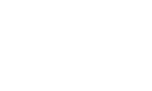 Storydealer Logo